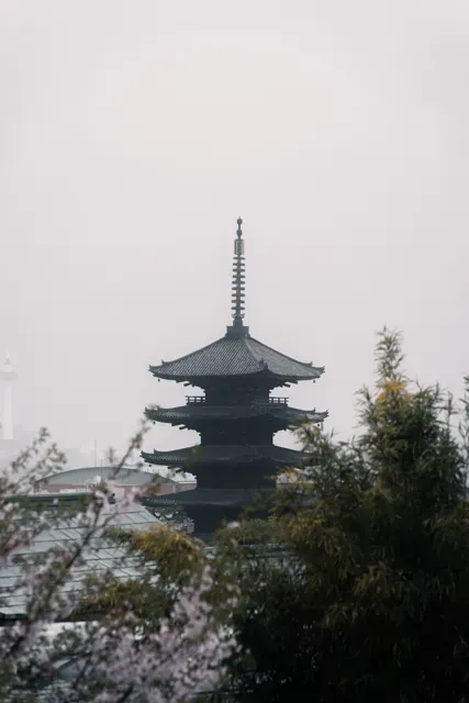 Japan - Image 15