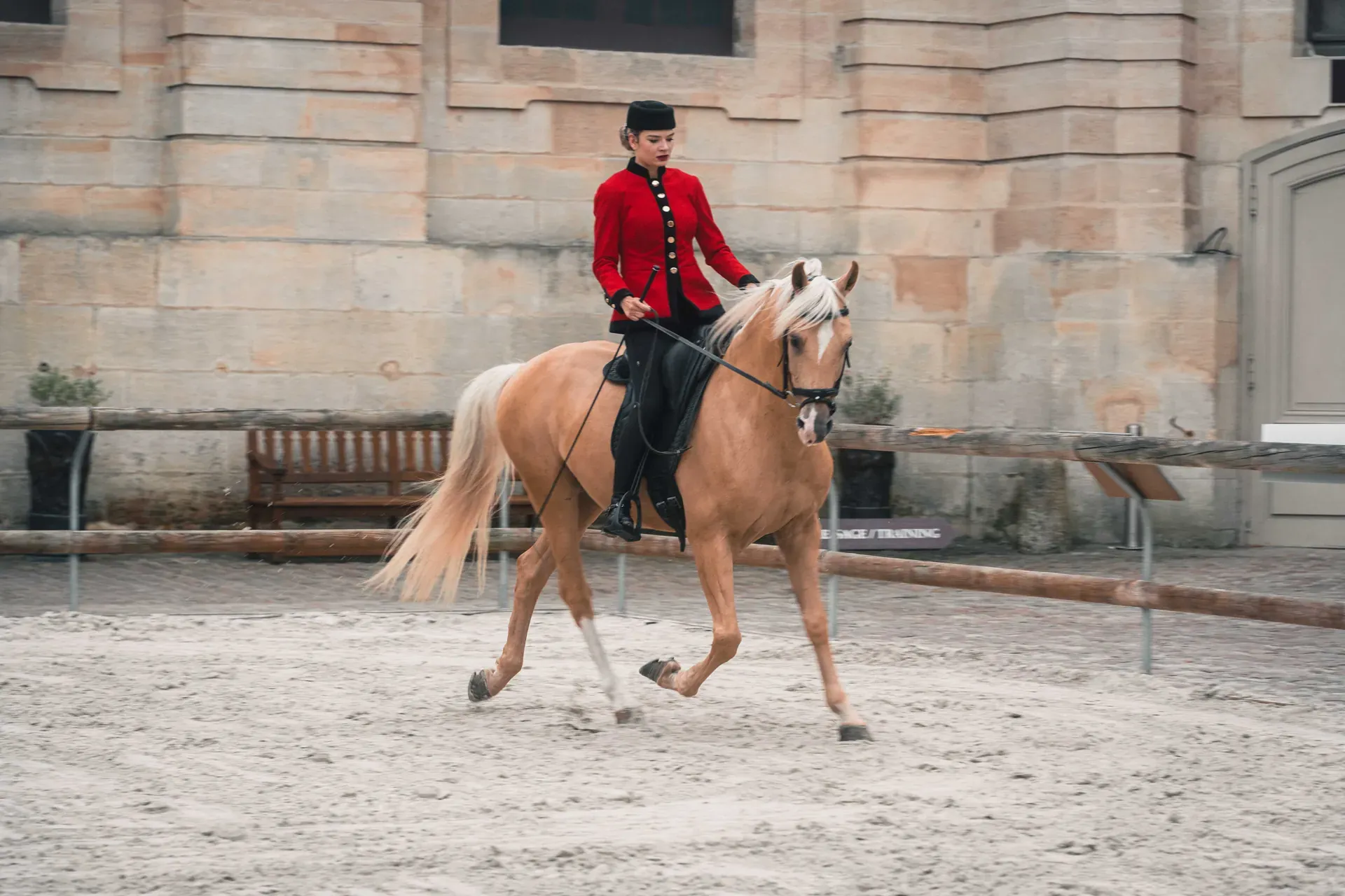 Les Pépites de France - Image 4